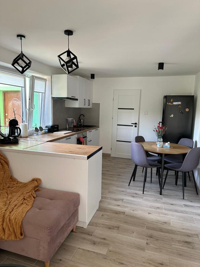 Mr. Sowa Sokolec Apartment Ludwikowice Klodzkie Ngoại thất bức ảnh