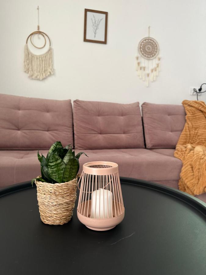 Mr. Sowa Sokolec Apartment Ludwikowice Klodzkie Ngoại thất bức ảnh