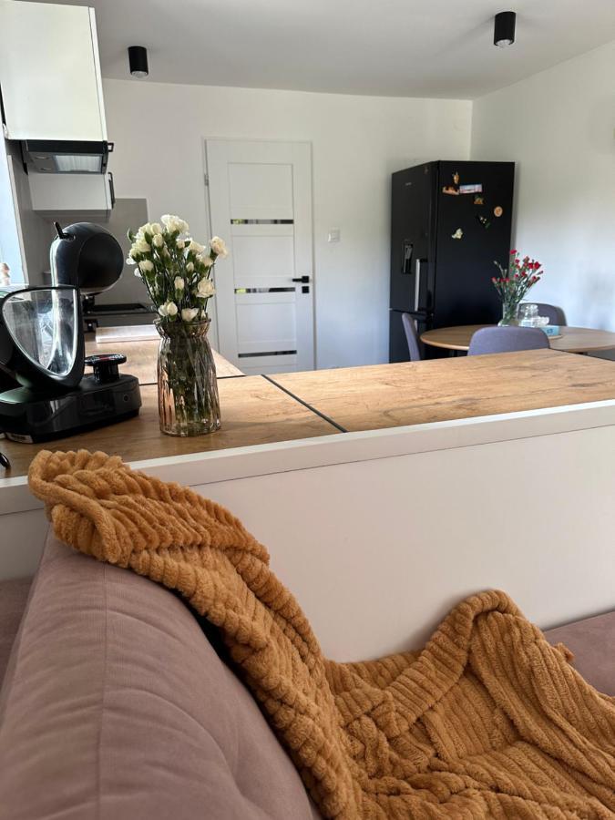 Mr. Sowa Sokolec Apartment Ludwikowice Klodzkie Ngoại thất bức ảnh