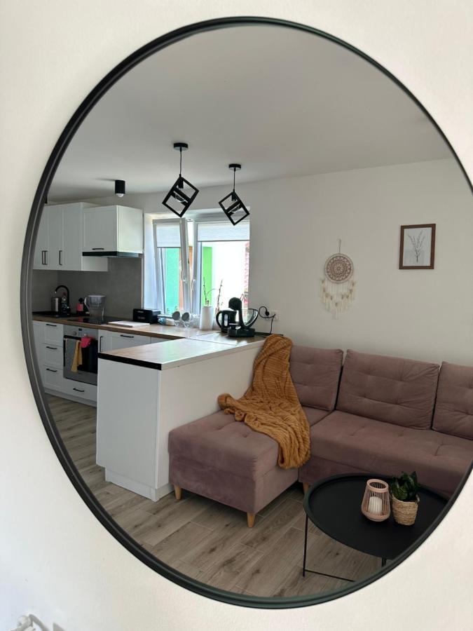 Mr. Sowa Sokolec Apartment Ludwikowice Klodzkie Ngoại thất bức ảnh