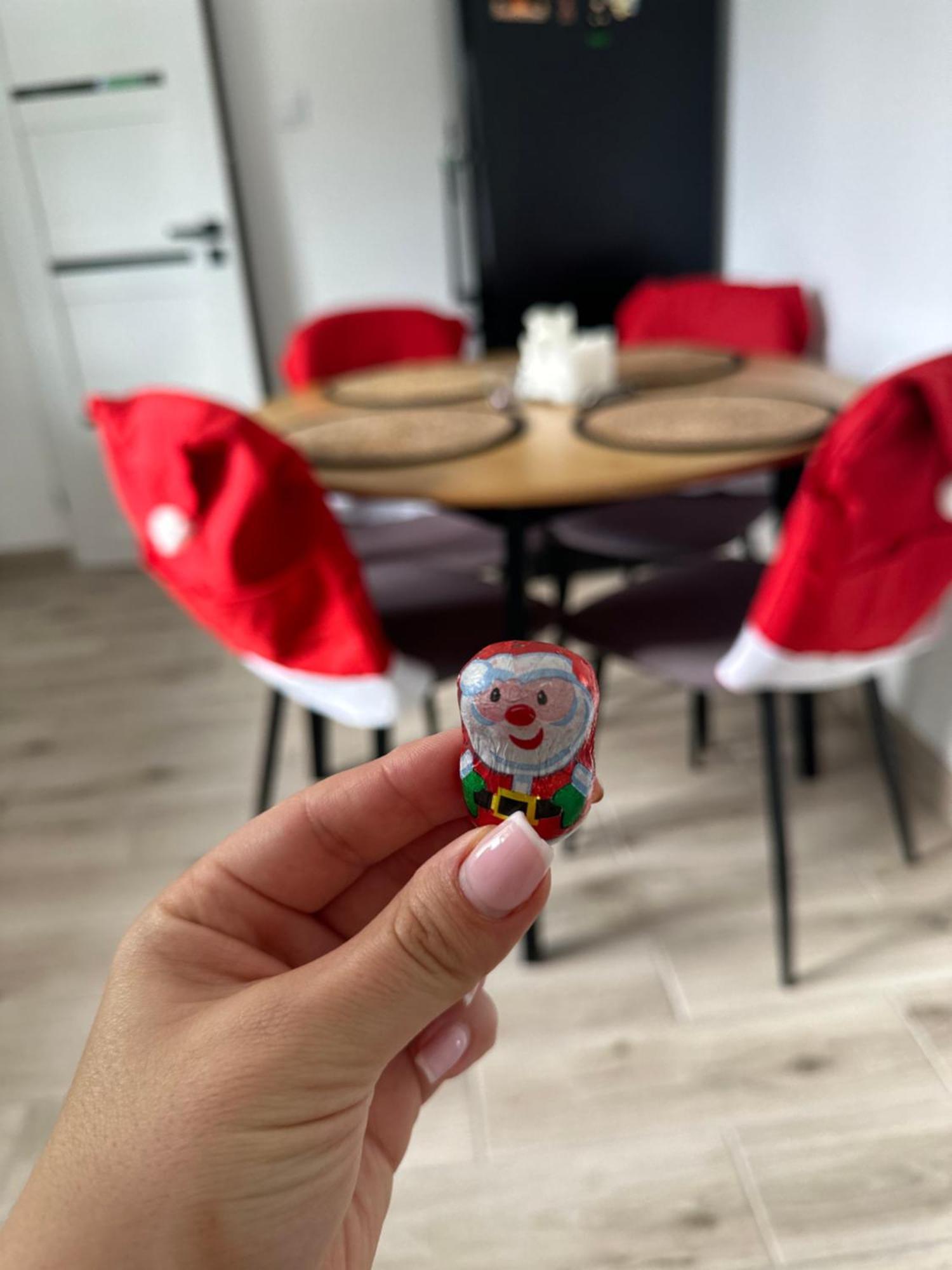Mr. Sowa Sokolec Apartment Ludwikowice Klodzkie Ngoại thất bức ảnh