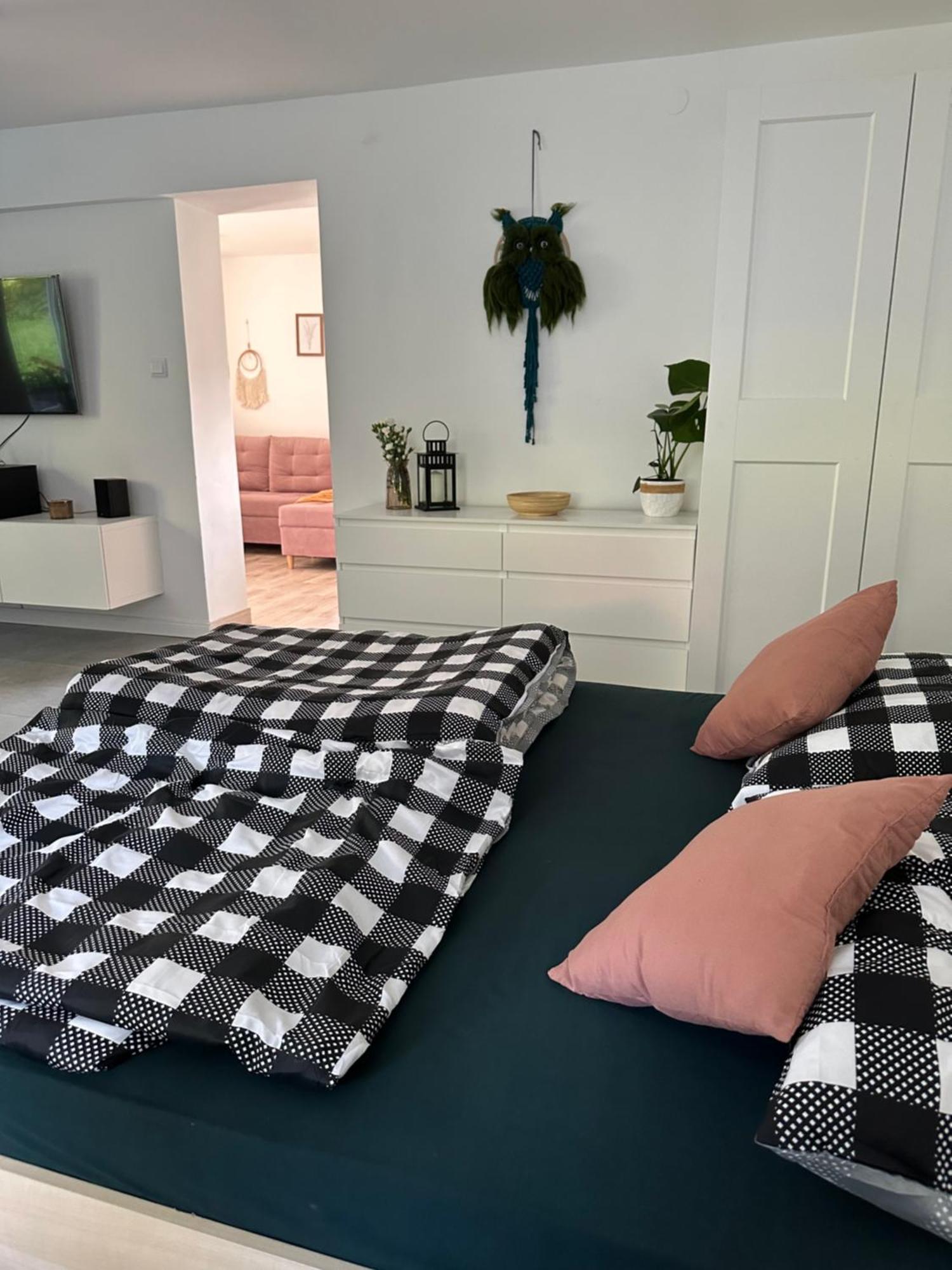 Mr. Sowa Sokolec Apartment Ludwikowice Klodzkie Ngoại thất bức ảnh