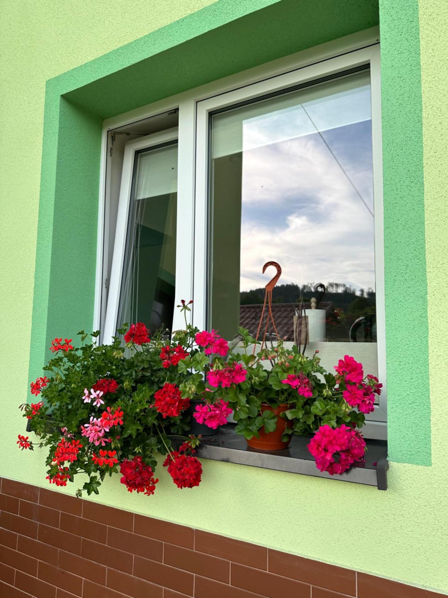 Mr. Sowa Sokolec Apartment Ludwikowice Klodzkie Ngoại thất bức ảnh
